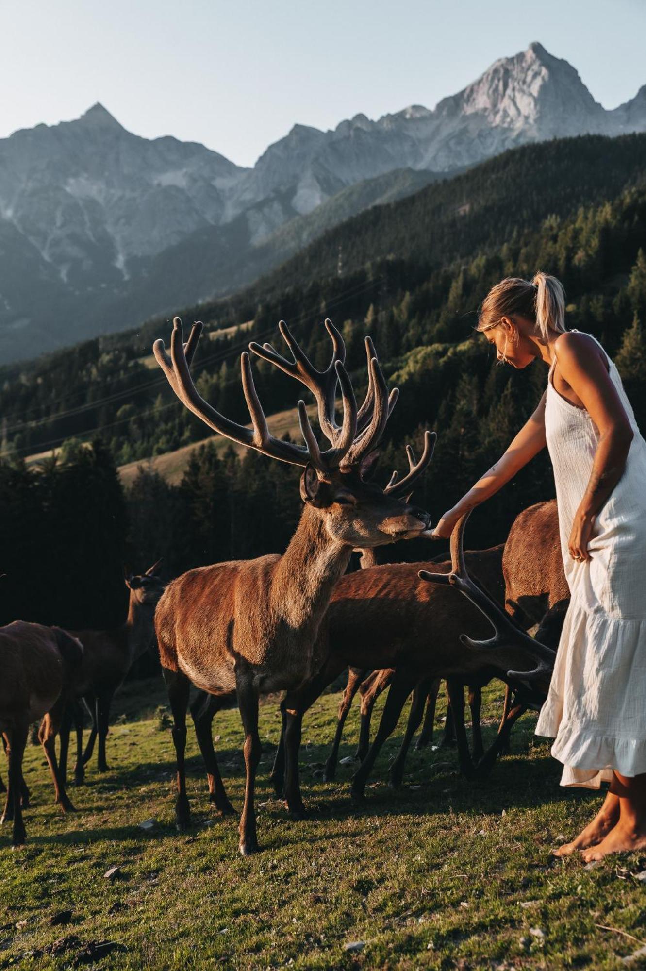 Jufenalm Boho & Restaurant Maria Alm am Steinernen Meer